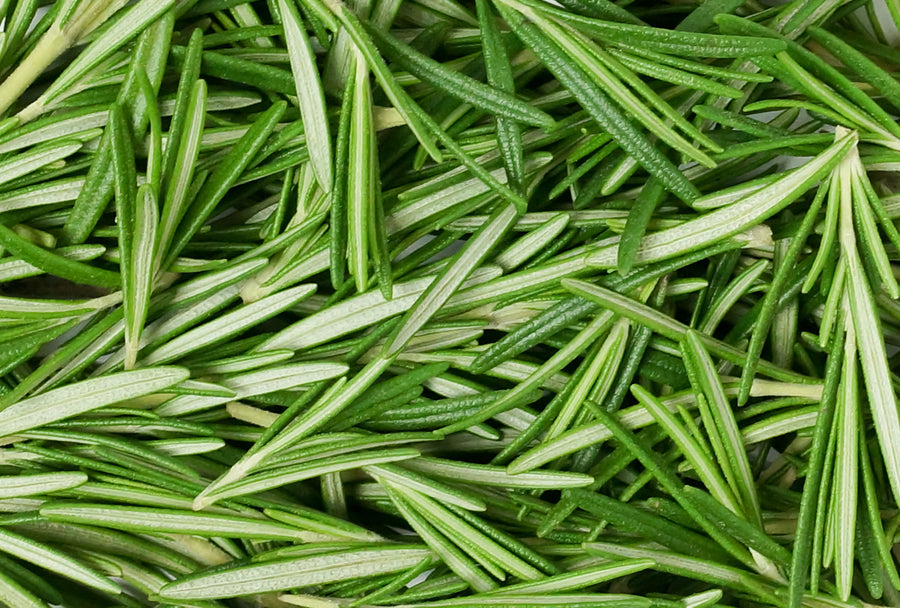 Rosemary Oil